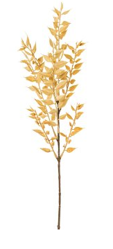 Ruscuszweig 50cm natur