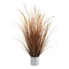 Brizagras 100 cm gold