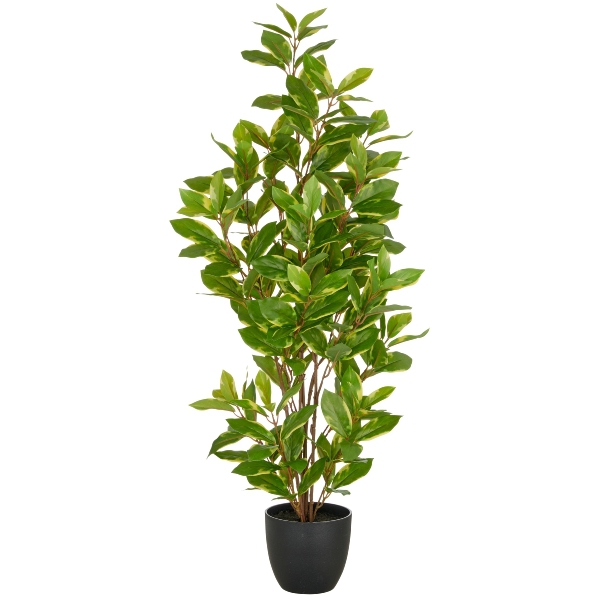 Epipremnum aureum ca.90cm i.Topf 14x30cm