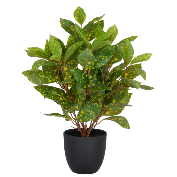 Kunstpflanze Acuba grun i.Topf H:40cm