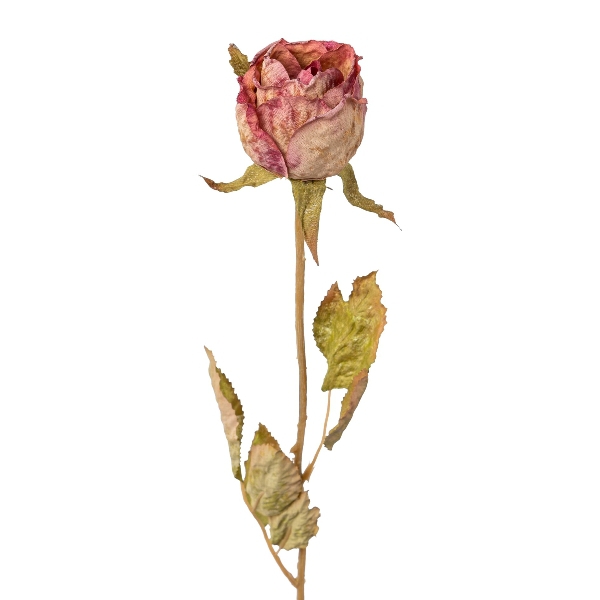 Rosenknospe rosa 53cm