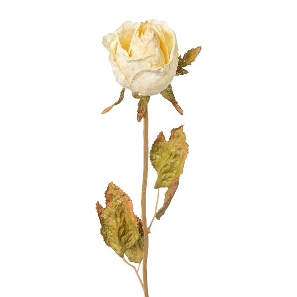 Rosenknospe creme 53cm