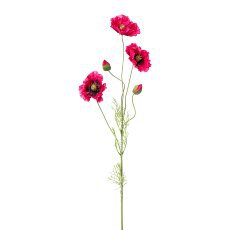 Mohn rosa 90cm, mix