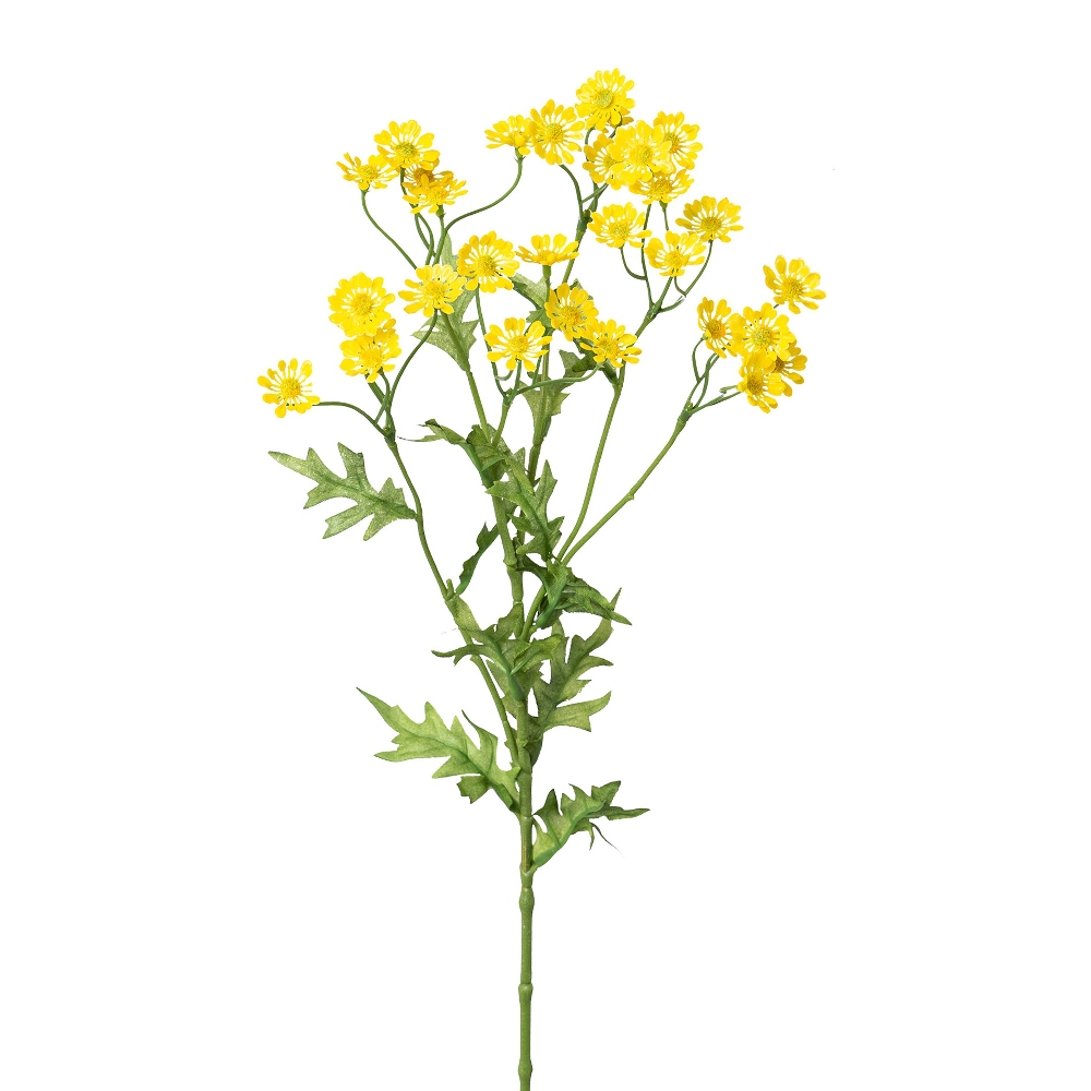 Kamille gelb 60cm