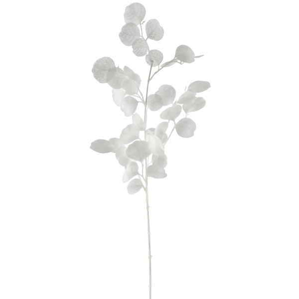 Eukalyptuszweig weiss H:77cm