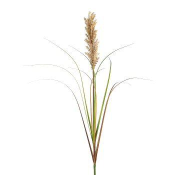 Rispenhirse 170cm Natur