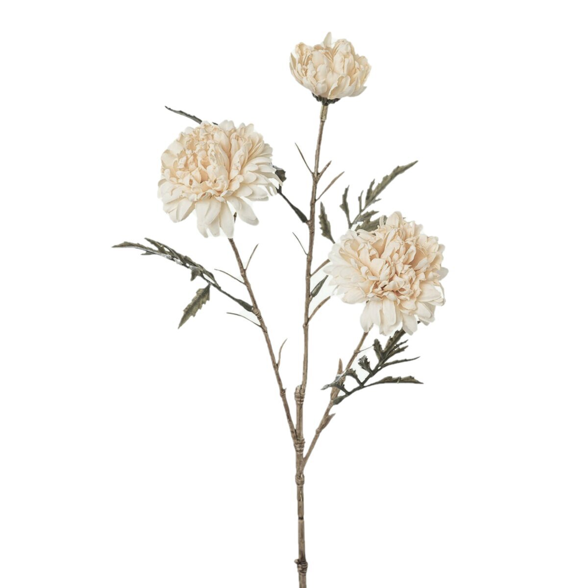 Tageteszweig, 40cm, creme