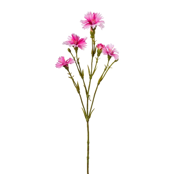 Lichtnelkenzweig rosa 62cm