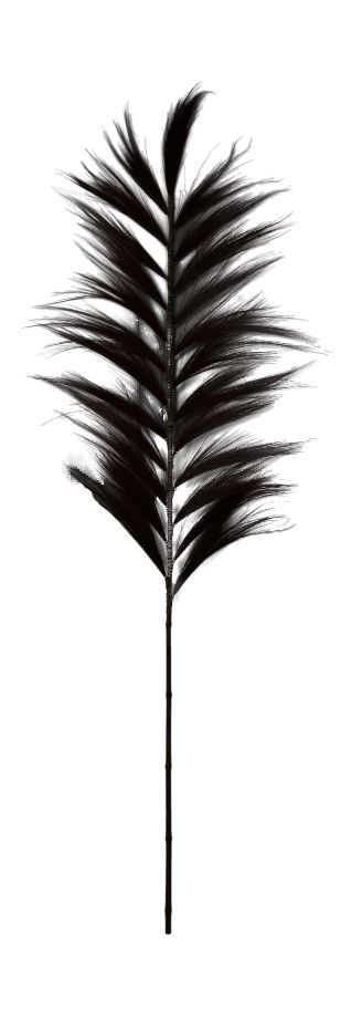 Feder Fringes, matt schwarz, 65x22cm