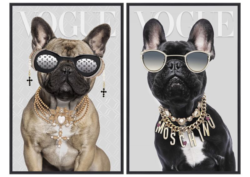 Wandbild Glamorous dogs 2-f.sort.40x60cm