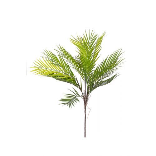 Bündel Palmblatt grün H65cm